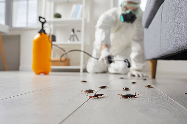 Commercial Kitchen Cockroach Control in Waialua